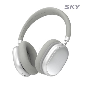 ��ī����ANC �������� ���� ���� H1