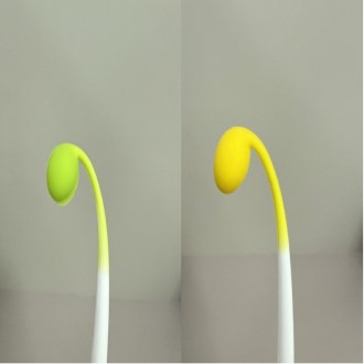 �ᳪ�� ���� (�ʷ�, ���)